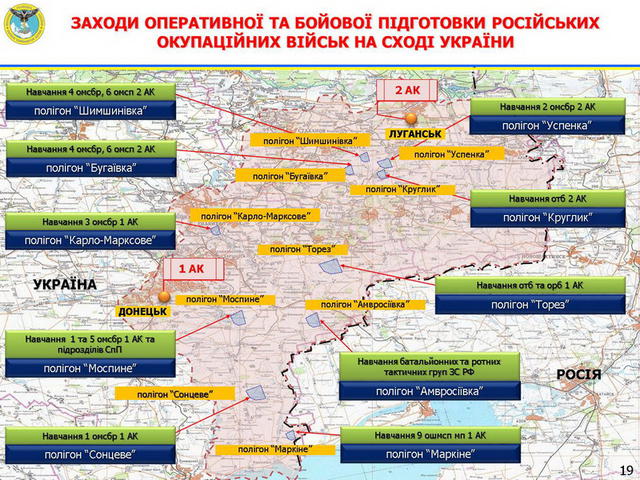 агрессия хроника