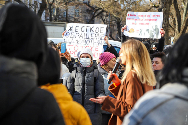 Одесити пікетували поліцію, вимагаючи покарати кривдників тварин 04