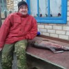 Сергей Тимченко #390578