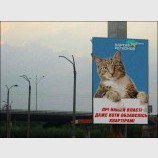 Реклама власти