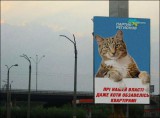 Реклама власти