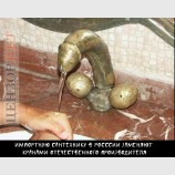 Патриотичная сантехника