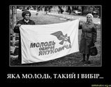 Какая партия, такая и молодежь