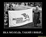 Какая партия, такая и молодежь