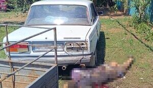 Обстріл Донеччини 20 червня