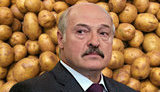 білорусь,бульба