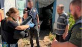 СБУ викрила ще чотирьох агітаторів рашизму у Херсоні, Черкасах та на Сумщині. ФОТОрепортаж