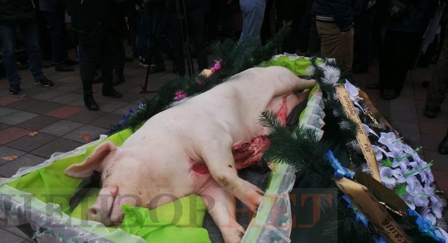 Agrarians rally against land sale in Ukraine 13