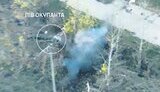 півокупанта летить у повітрі