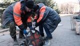 чернівці,герелло