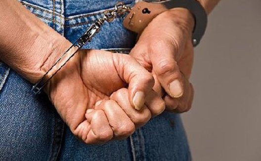 Німеччина затримала двох агентів РФ, які стежили за постачальником дронів для України