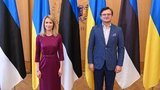 Кулеба обсудил с премьером Эстонии Каллас противодействие Украины агрессии РФ и "Крымскую платформу". ФОТО
