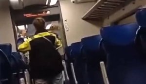 Женщина без билета пела гимн Украины, угрожая ножом в поезде в Польше: ее передали полиции. ВИДЕО