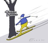Жертвы выборов