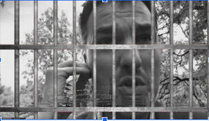 Власник київської Tarantino family Федотєнков працює в інтересах росії?