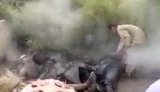 Не детские забавы: Афганские дети играют в террориста-смертника. ВИДЕО.