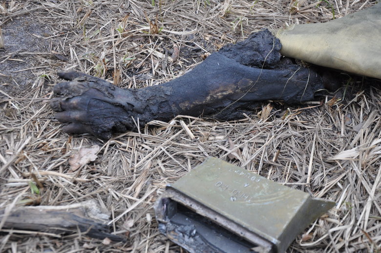 Russian occupiers equipment near Bucha destroyed 11