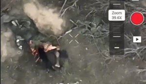 Окупантів серед хащів доїдають собаки після невдалого наступу на Слов’янському напрямку. ВIДЕО