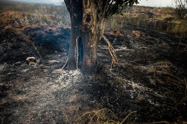 Shells detonate in occupied Donbas, fire reaches Ukrainian positions 15
