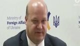 У Сенаті та Конгресі США є ціла група друзів України, - Чалий. ВIДЕО