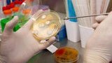Из-за отравления в школе Хмельницкого по всей стране спецбригады проведут внезапные проверки, - Ляшко