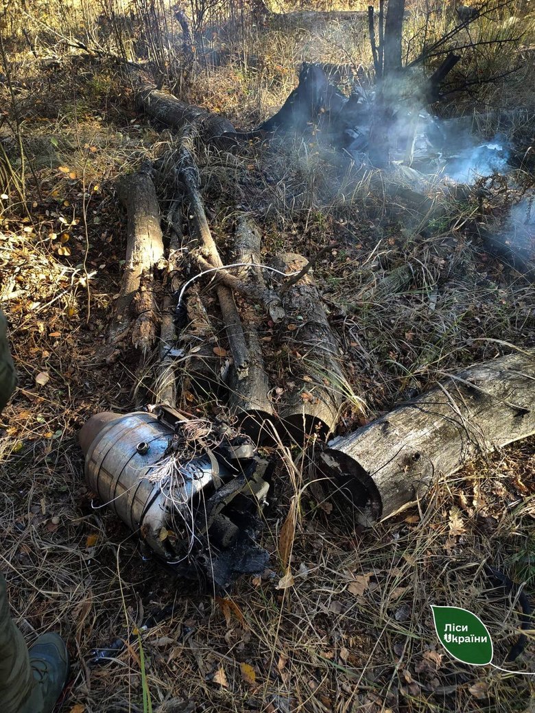 Forest fires in Ukraine – 87 per cent of the area burnt this week was caused by Russian attacks
