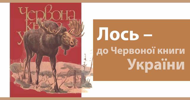 Нацкомиссия проголосовала за внесение лося в Красную книгу, - Семерак 01