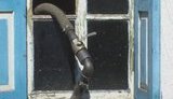 Украинские контрабандисты подсоединились к российской газовой трубе. ФОТОрепортаж