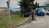 переправщик уклонистов