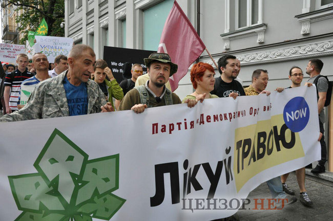 Начать научные исследования: под Кабмином требовали легализовать марихуану 13