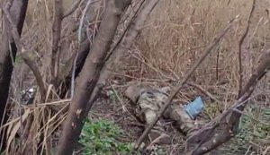 Рашисты жалуются на отсутствие воды: "Подвоза воды нет, будем из этой лужи пить". ВИДЕО