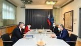 Жовква в Словении обсудил евроинтеграционные перспективы Украины
