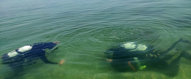 Силовики-водолазы прошли спецподготовку в уникальных экстремальных условиях 05