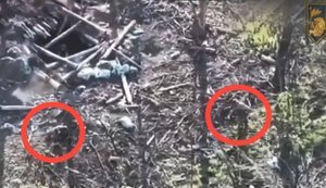 Ukrainian fighter in ambush eliminated two Russian assault troops with small-arms fire. VIDEO