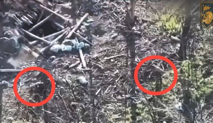 Ukrainian fighter in ambush eliminated two Russian assault troops with small-arms fire. VIDEO