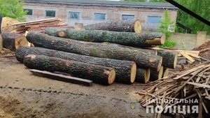 Мораторий Украины на экспорт леса противоречит Соглашению об ассоциации и должен быть отменен, - решение Арбитражной комиссии
