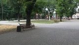 В парке Одессы неизвестные украли 100 новых скамеек, - Труханов