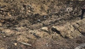 Наполягатимемо на продовженні роботи ТСК щодо вибухів на арсеналах ще на 6 місяців: встигли розслідувати лише Балаклію, - "слуга народу" Арахамія. ФОТО