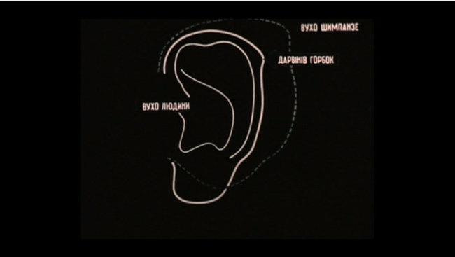Україна викупила в Японії один зі своїх перших наукових фільмів, що вважався втраченим 02