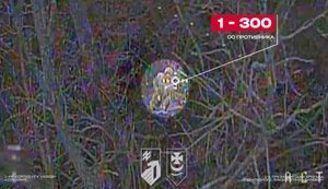 Оператори дронів "Буревій" завдали ударів по техніці та піхоті РФ на Куп’янському напрямку. ВIДЕО