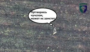 Украинские воины сняли на видео ликвидацию оккупанта, который стоял неподвижно среди поля. ВИДЕО
