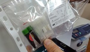 Институт молекулярной биологии может выпускать наборы на 10 тысяч тестов на COVID-19 за неделю, весь вопрос в финансировании, - замглавы МОН Полюхович