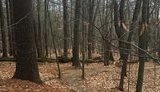 Зеленский подписал закон о повышении штрафов за выжигание сухой травы