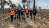 На месте выжженного леса возле станции метро "Лесная" в Киеве высадили новые деревья. ФОТОрепортаж