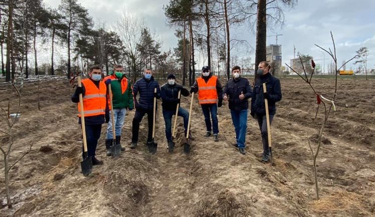 На місці випаленого лісу біля станції метро "Лісова" у Києві висадили нові дерева. ФОТОрепортаж