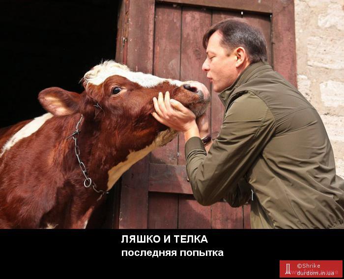ляшко и телка :)