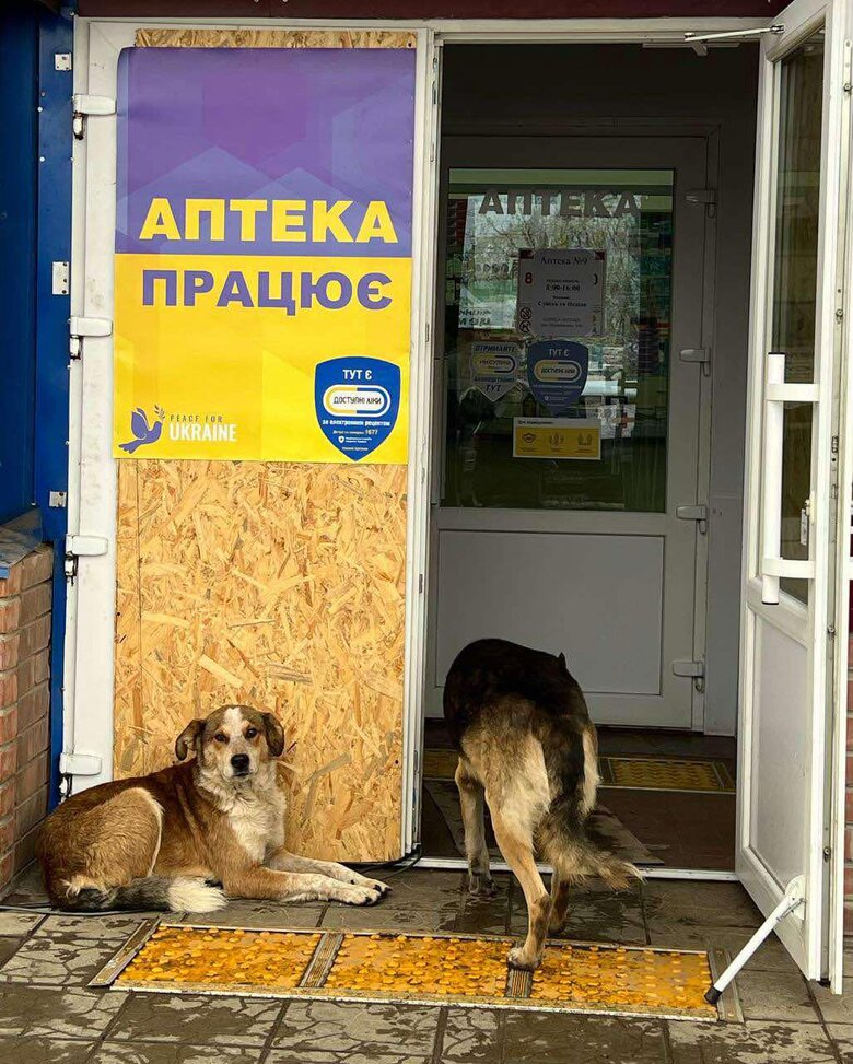 аптека,9-1-1