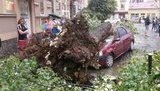 закарпатье непогода