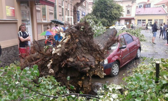 закарпатье непогода