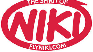 Еще один европейский лоукостер объявил о банкротстве